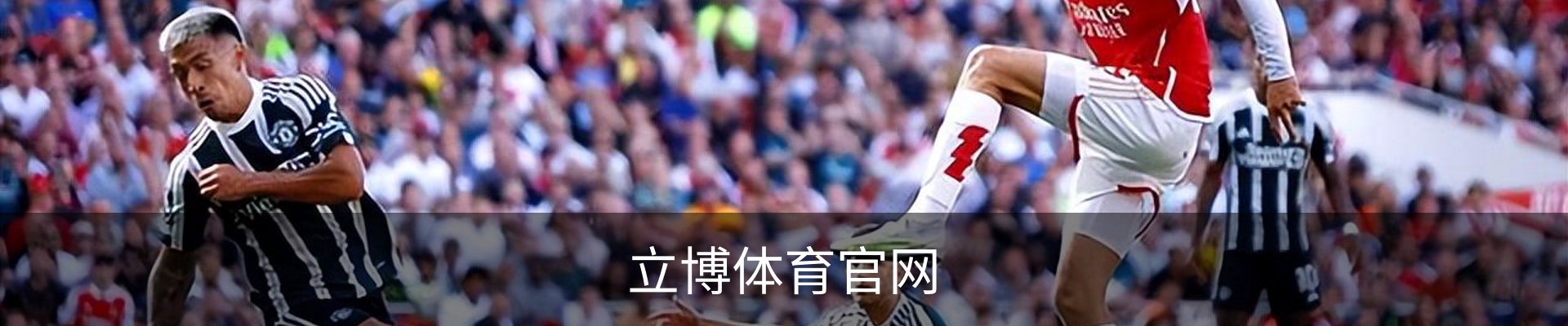 立博体育官网 - 体育培训(中国)官方安全网站